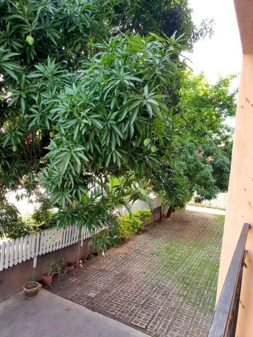 Central Upscale New Kingston Apt With Pool Extérieur photo